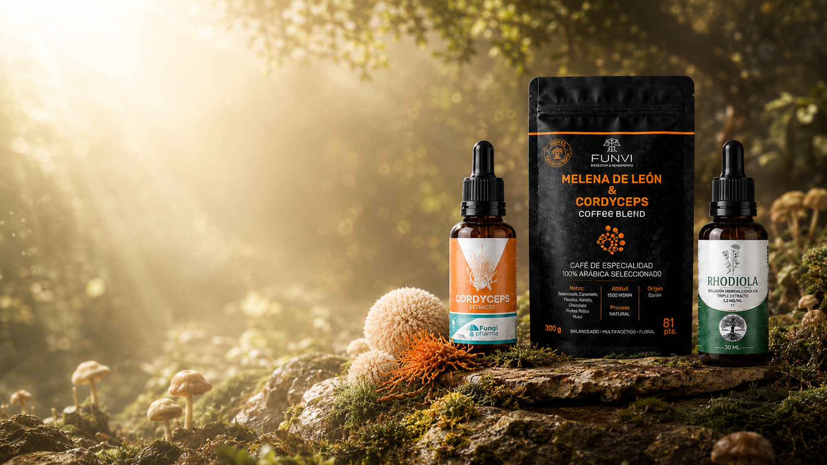 Pack Energía Miconnected — Cordyceps, Café FUNVI y Rhodiola